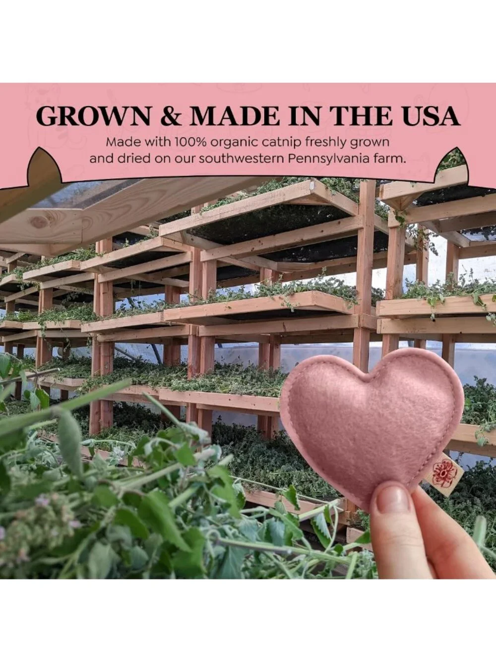 Organic Catnip Heart Toys - 100% Wool Felt, USA-Made, Pink, 4 Pack for Cats